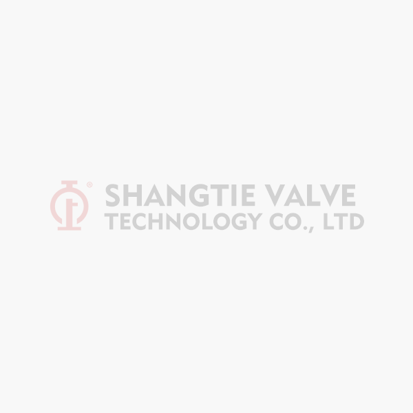 The Role of the API Power Station Globe Valve in Modern Energy Infrastructure