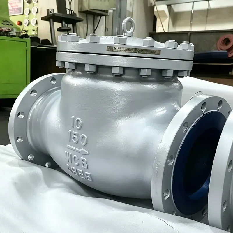 API 6D Check Valves Become Key Components for Pipeline Operations and Maintenance