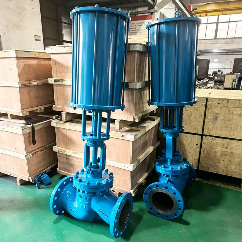 Application Characteristics of API Globe Valves in Process Pipeline Throttling and Shut-off Scenarios
