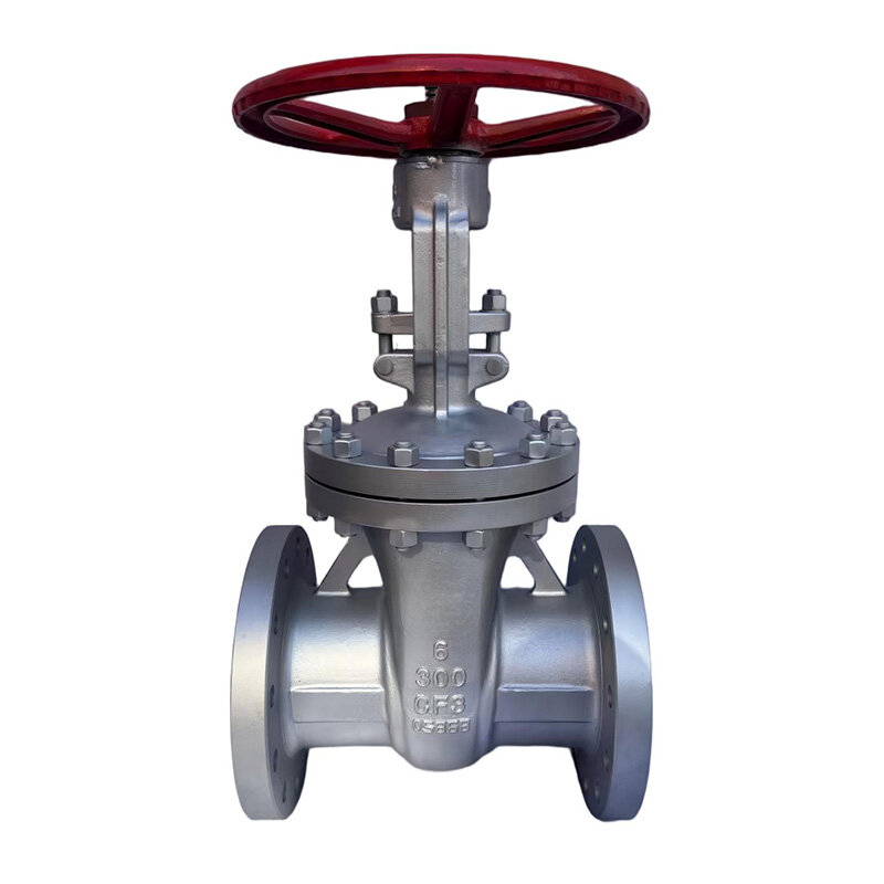 300LB Stainless Steel ASME Flanged API603 Gate Valve