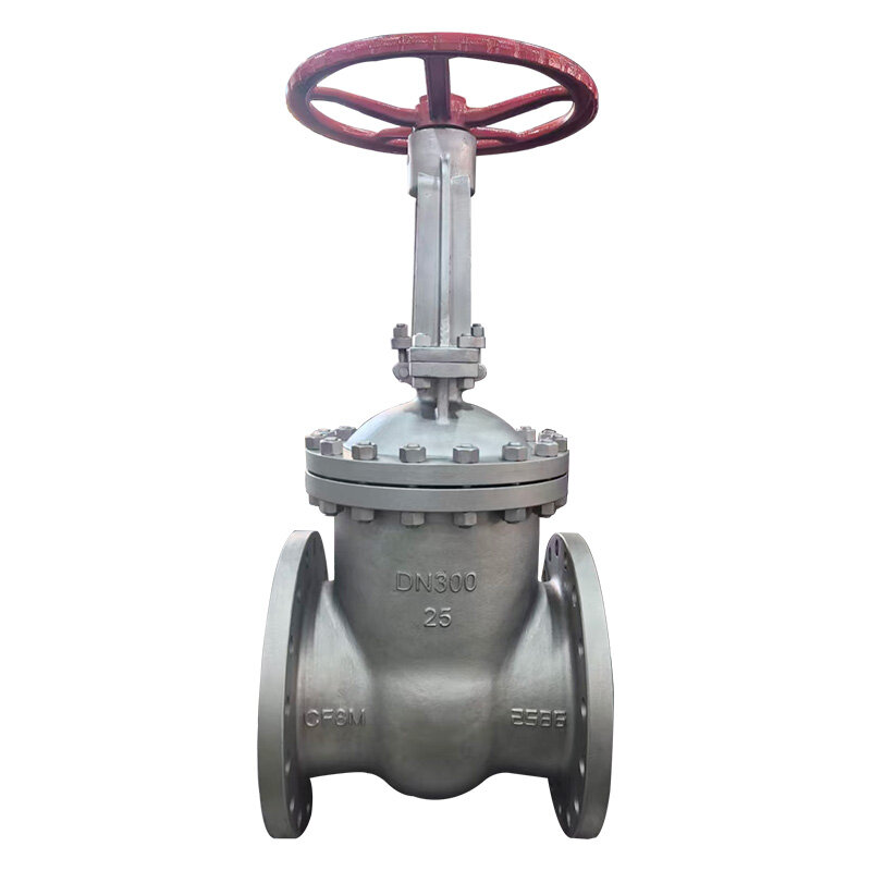 Manual Operated Rising Stem Flanged Type Stainless Steel Wedged Gate Valve