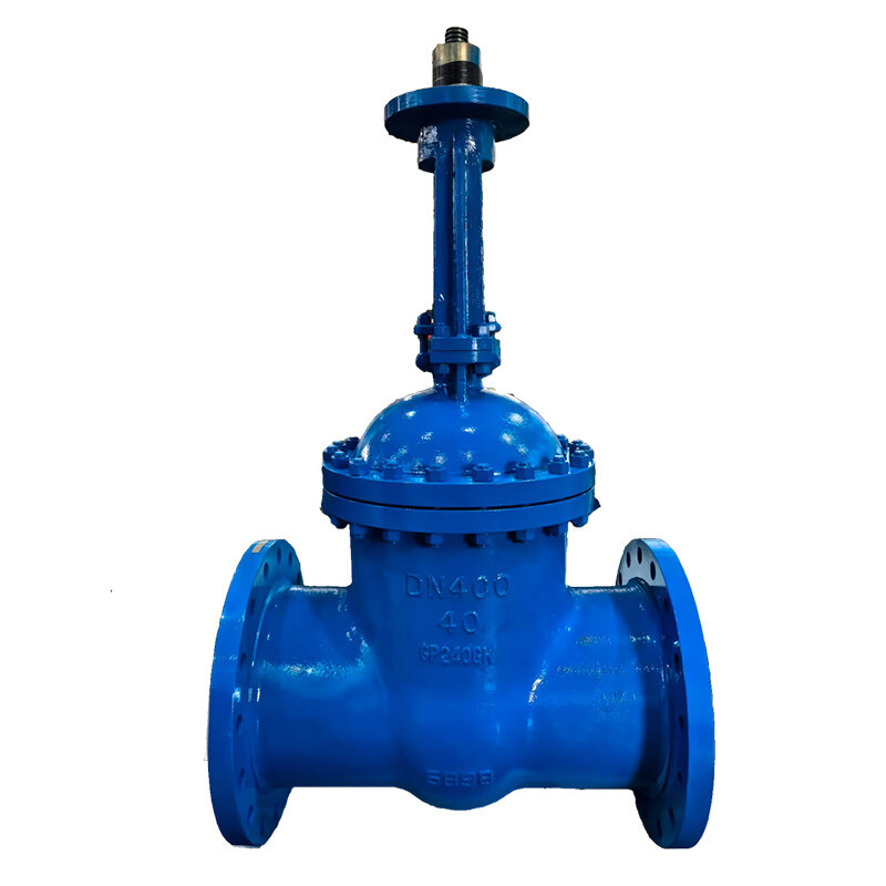 WCB Electric Flanged PN40 DIN Gate Valve