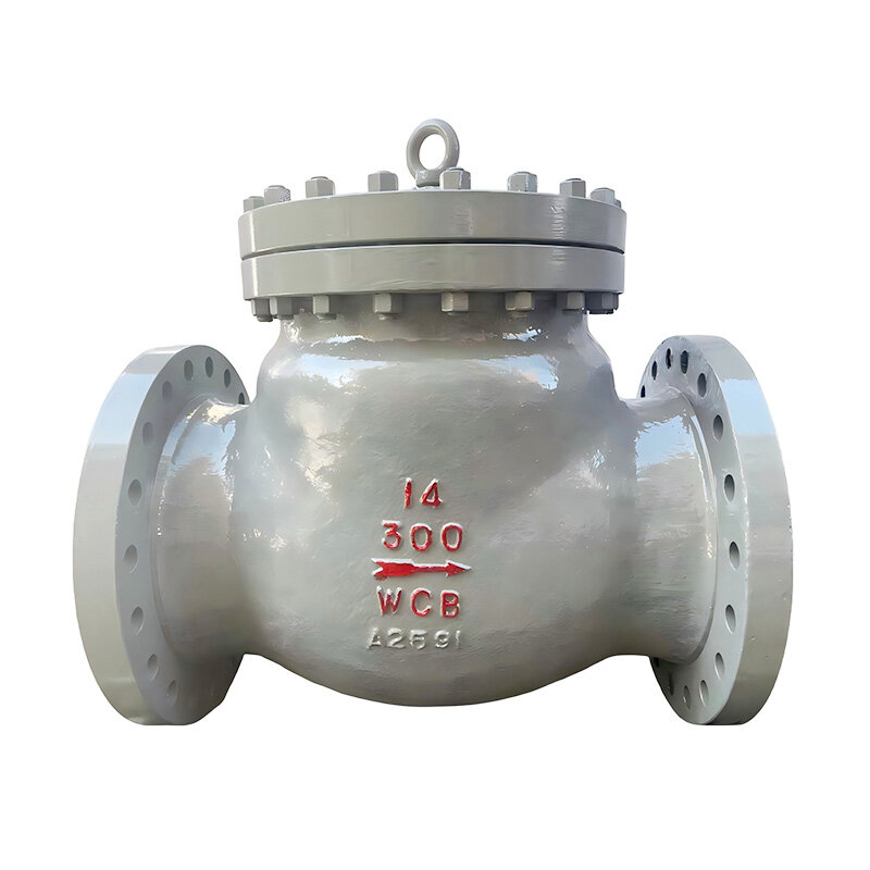 300LB Flanged RF Cast Steel WCB American Standard Swing Check Valve BS1868