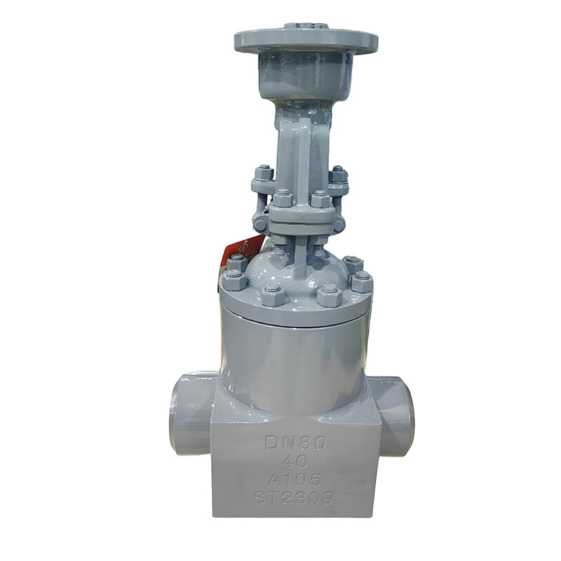 PN40 GOST A105 Integral Forged Gate Valve - Russian Standard