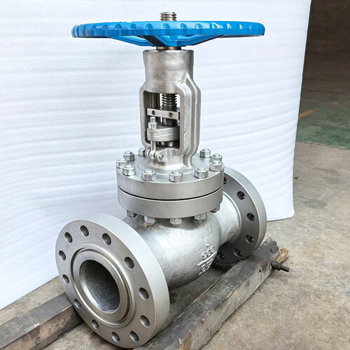 900lb-cf8-bs1873-flanged-globe-valve.jpg