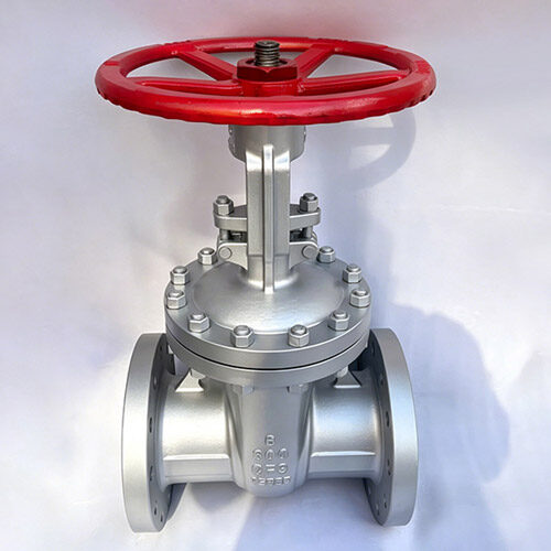 asme-b165-300lb-api603-corrosion-gate-valve.jpg