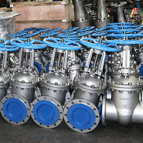 stainless-steel-wedged-gate-valve.jpg