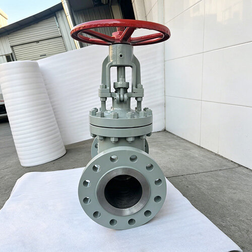 class600-osy-solid-wedge-gate-valve.jpg