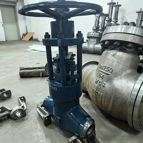 high-temperature-forged-2500lb-api600-globe-valve.jpg