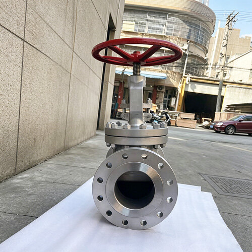 industrial-300lb-cf3-flanged-globe-valve.jpg